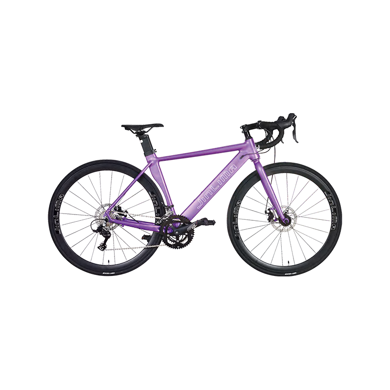HYB-023 700C 16-trinns lilla aerodynamisk landeveissykkel